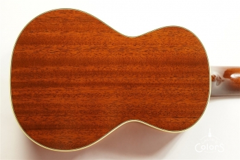 HM-C20 Concert -TR10th Anniversary Model- #361